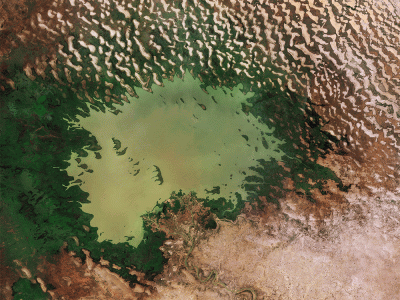 ESA - Immagine della settimana: Il ritiro delle acque del lago Ciad (24 marzo 2019)