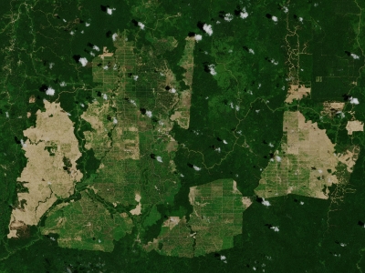 ESA - Immagine della settimana: Piantagioni di palme da olio (21 luglio 2019)
