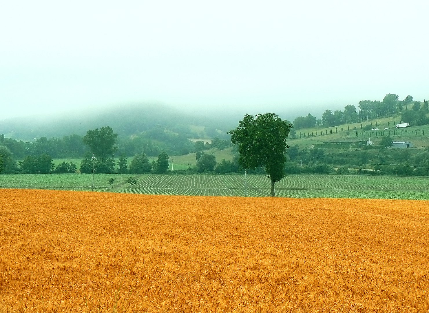Open data per le politiche agrarie europee