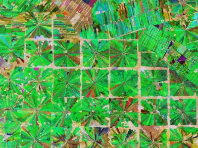 ESA - Immagine della settimana: Deforestazione in Bolivia (27 gennaio 2020)