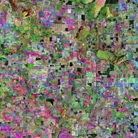 ESA - Immagine della settimana: Wheatbelt, Australia occidentale ( 12 aprile 2020)