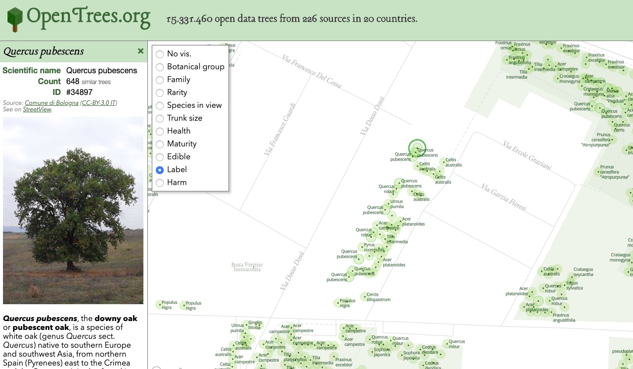 Open Data GIS per quasi 11 milioni di alberi con OpenTrees.org