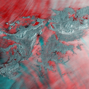 ESA - Immagine della settimana: Isole Falkland (26 luglio 2020)