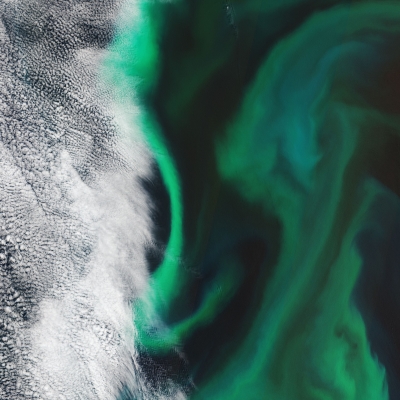 ESA - Immagine della settimana: Giappone in fiore (07 febbraio 2021)
