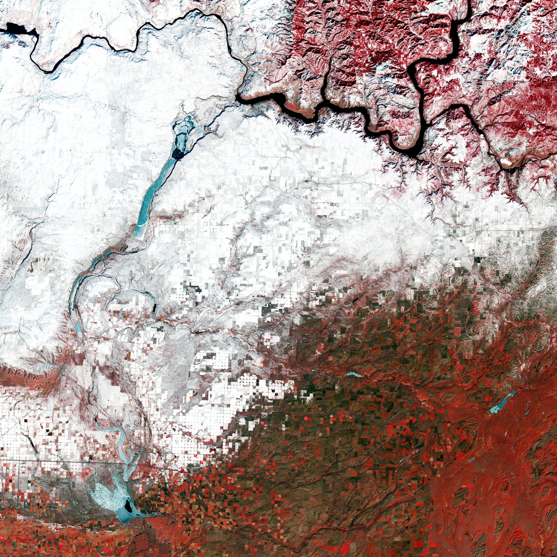 ESA - Immagine della settimana:  Washington, Stati Uniti (27 febbraio2022)