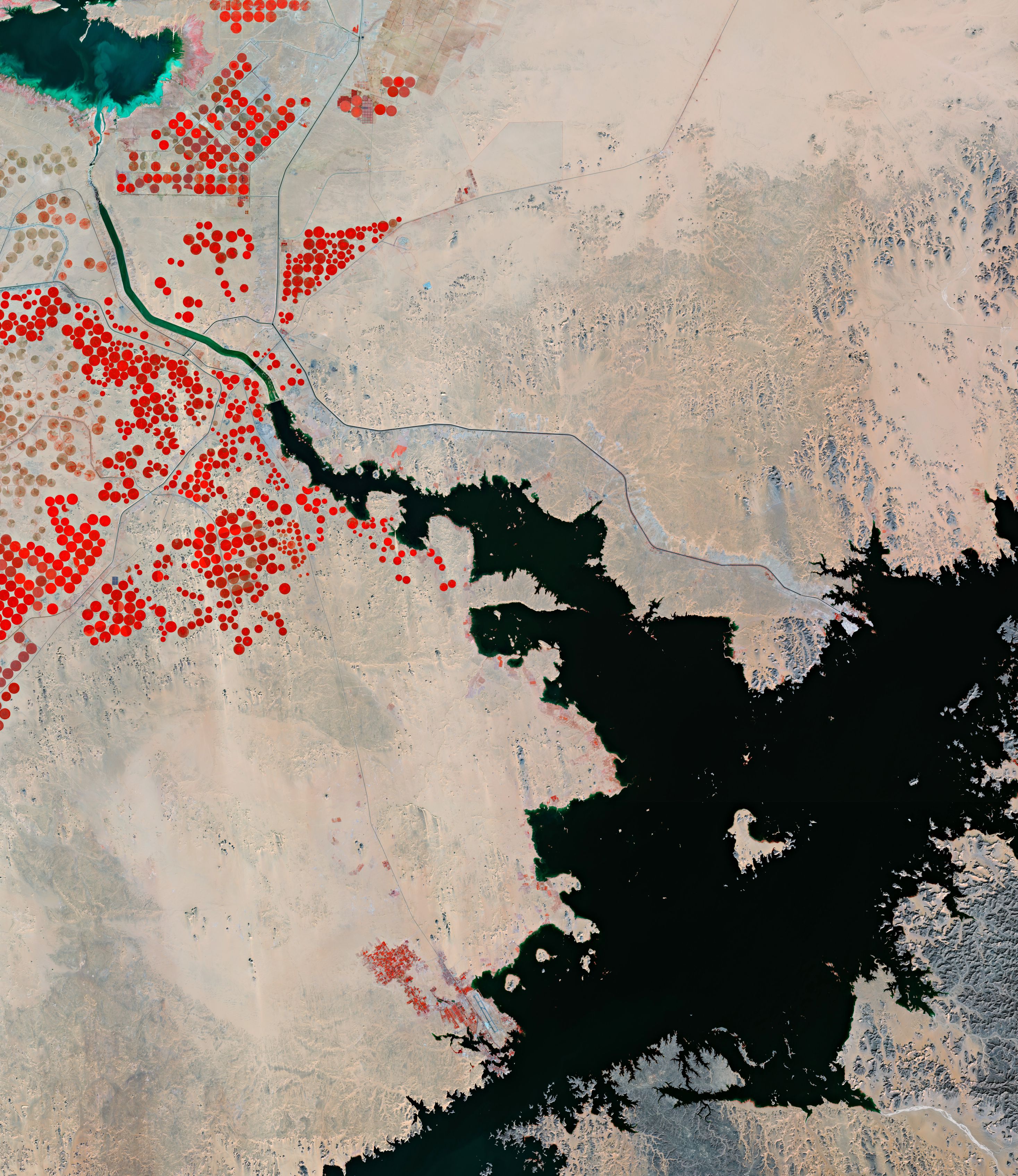 ESA - Immagine della settimana:  Lago Nasser, Egitto (20 marzo 2022)