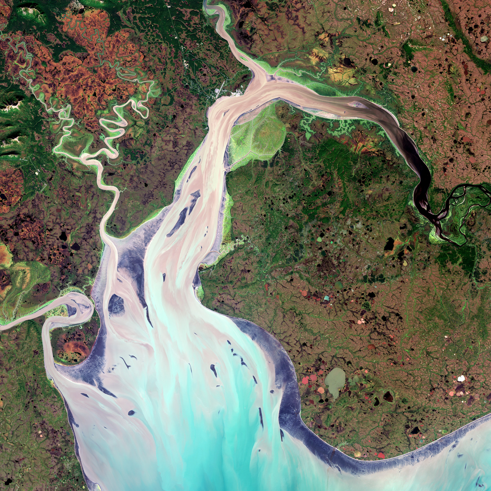 ESA - Immagine della settimana:  Baia di Nushagak, Alaska (06 novembre 2022)