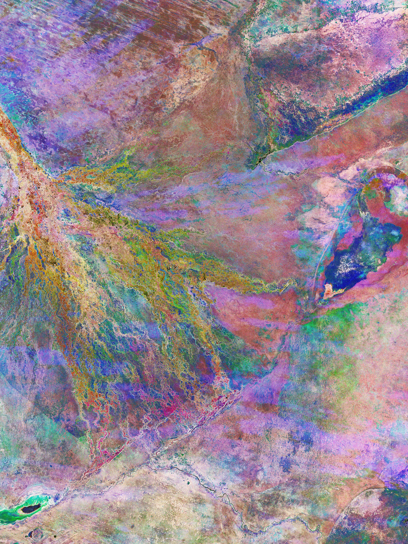 ESA - Immagine della settimana:  Delta dell'Okavango, Botswana (20 marzo 2023)