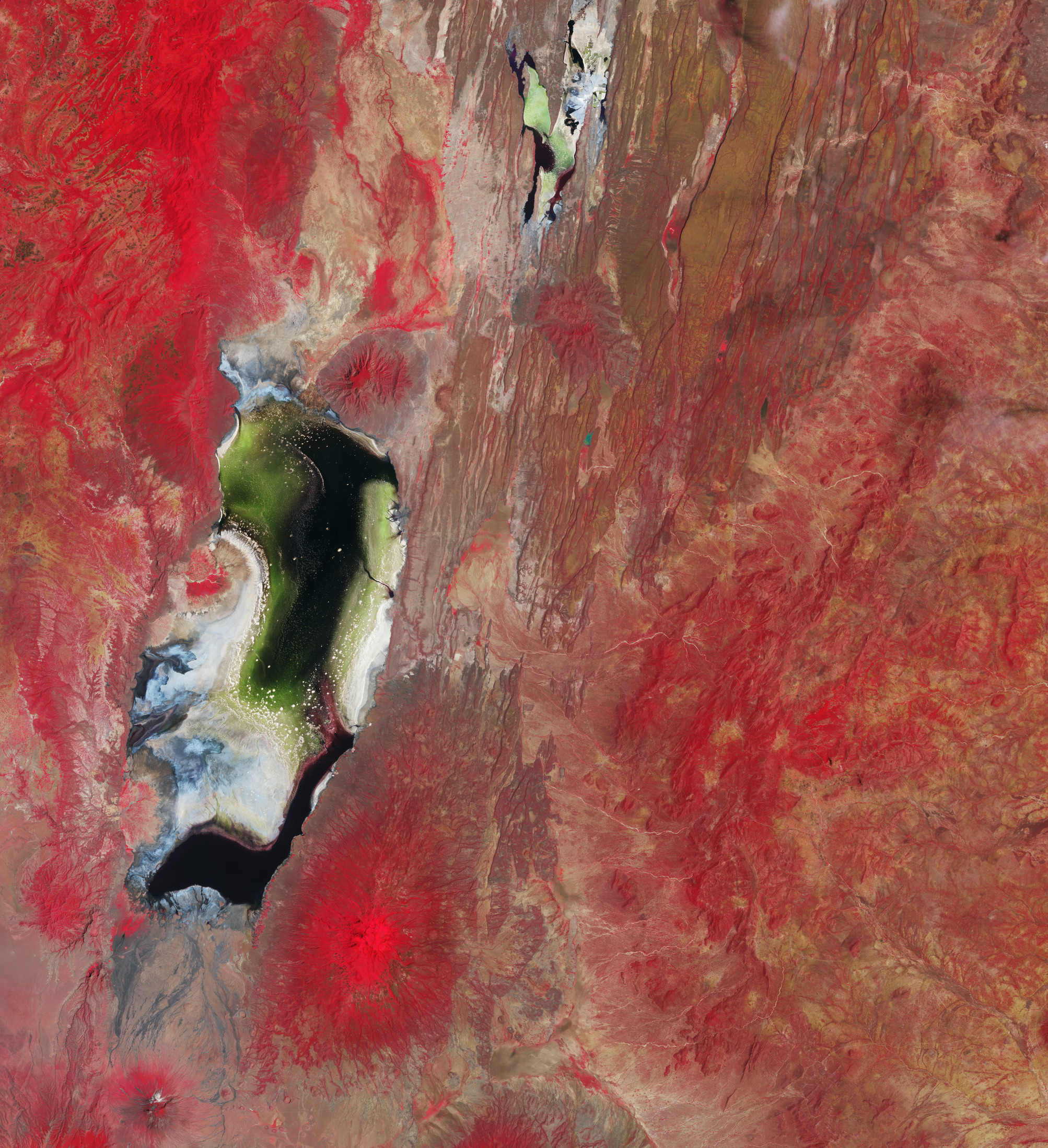 ESA - Immagine della settimana:  Laghi salati (27 novembre 2023)