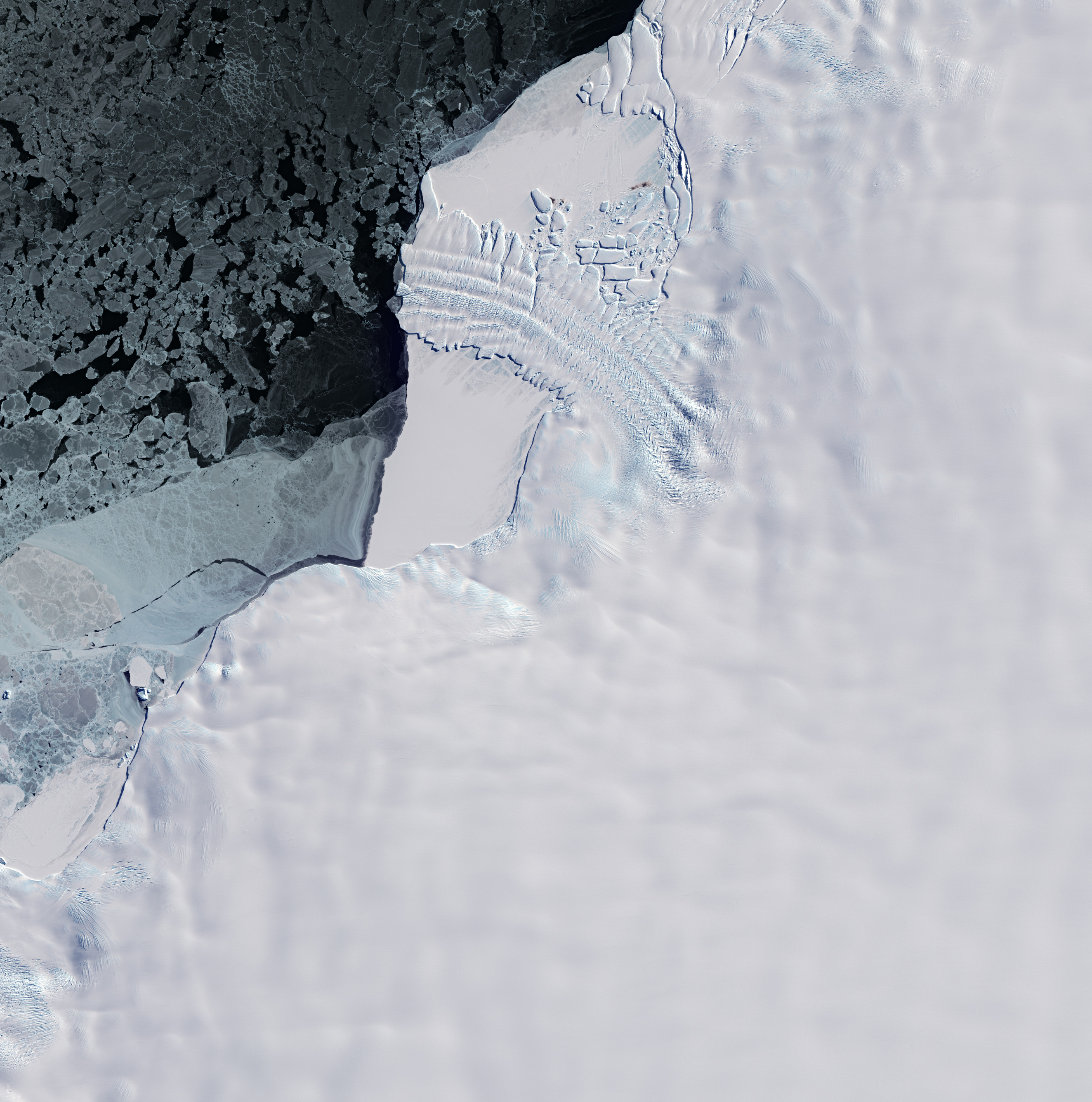 ESA - Immagine della settimana:  Ghiacciaio Dawson-Lambton dimora di pinguini  (03 marzo 2024)