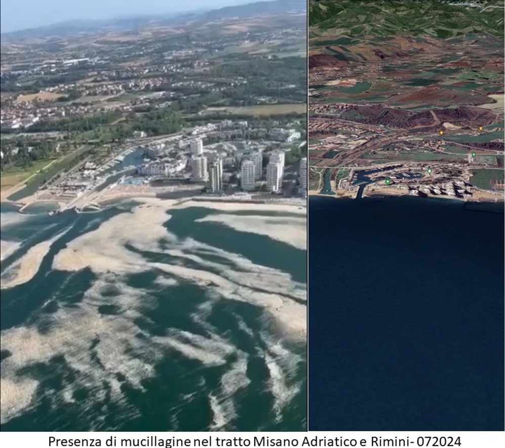 Il ruolo della citizen science nella individuazione delle verità a terra per il telerilevamento satellitare - la presenza di mucillagine nella costa romagnola nel luglio 2024