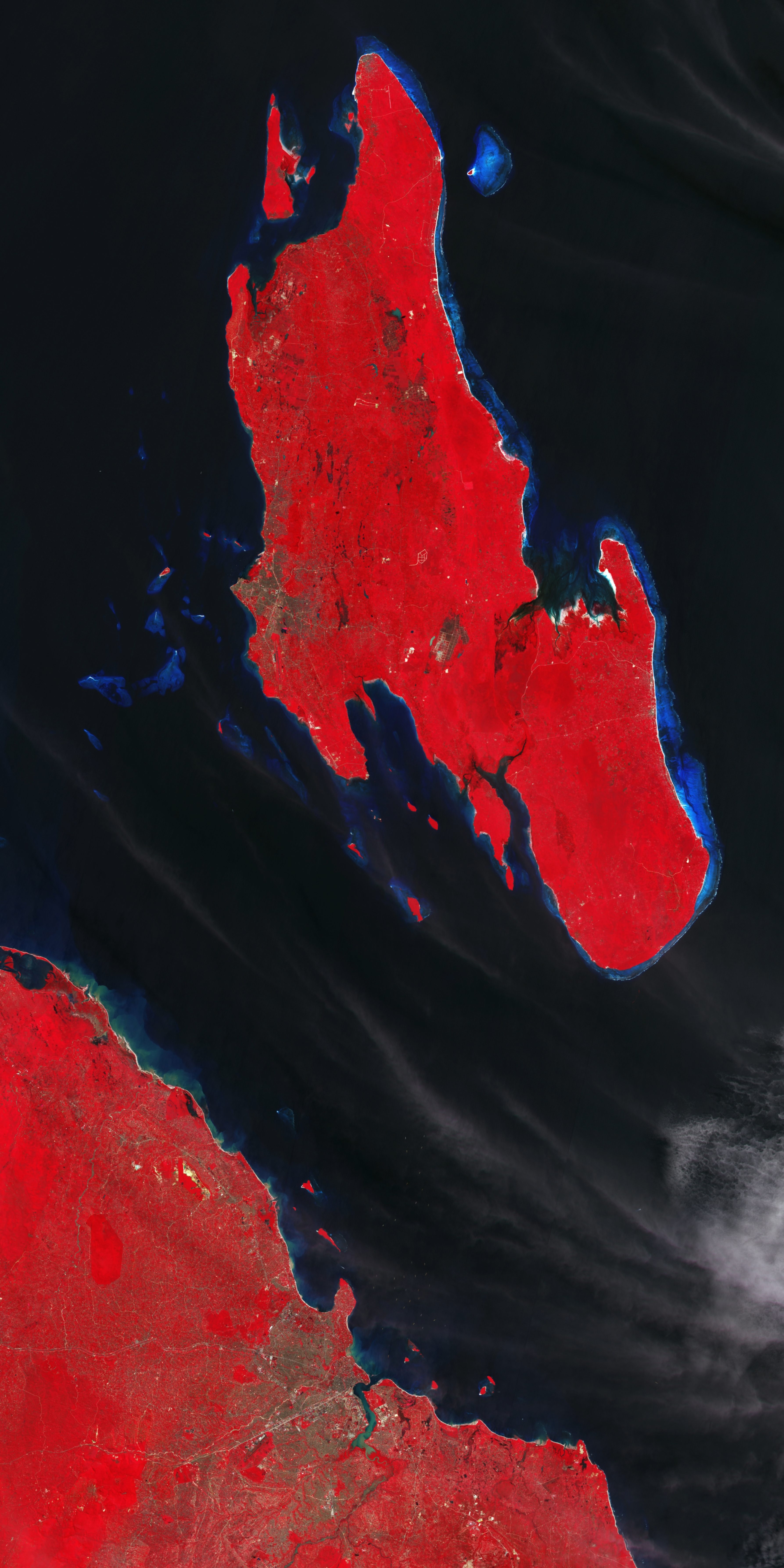 ESA - Immagine della settimana: Zanzibar, Tanzania (05 luglio 2025)