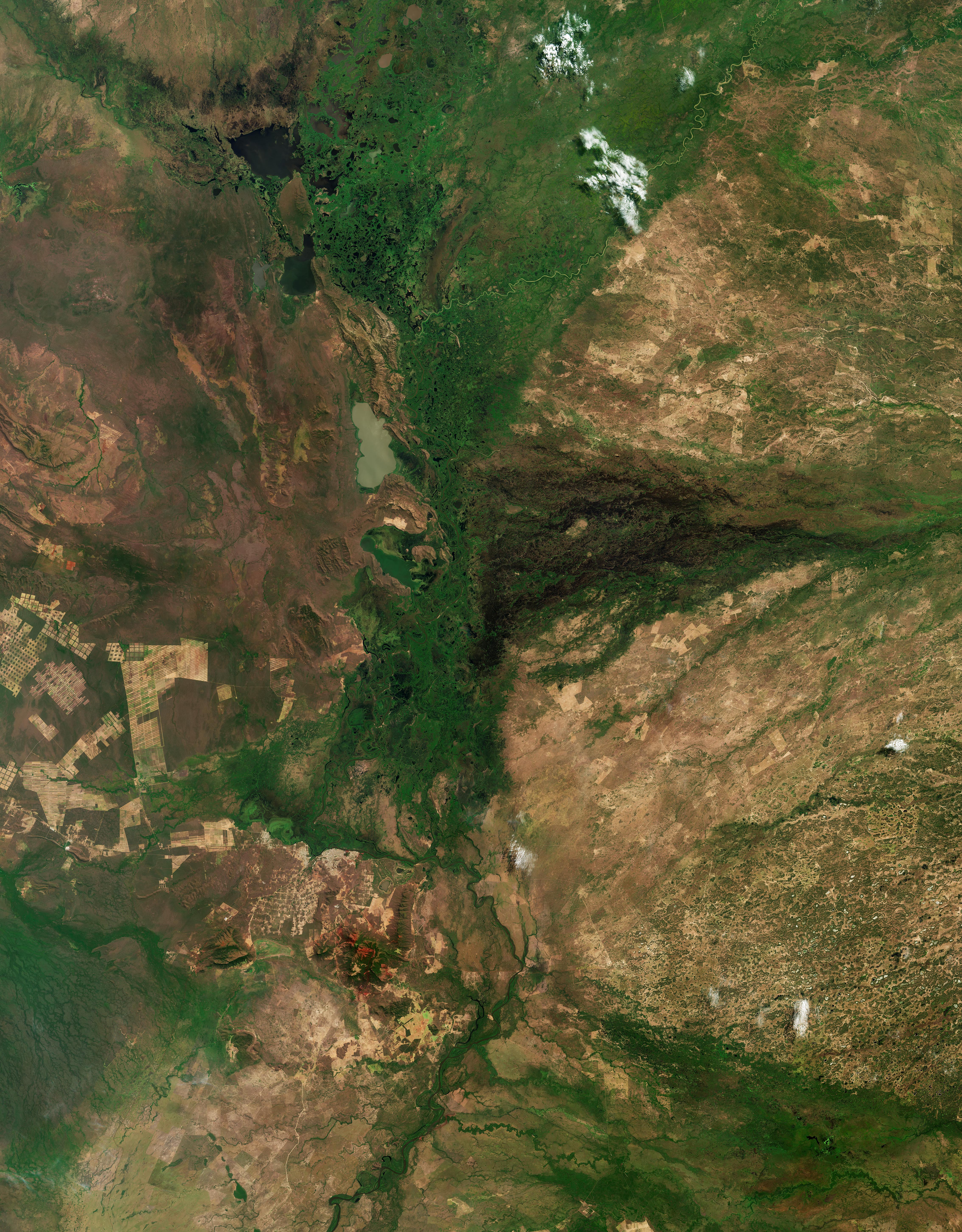 ESA - Immagine della settimana: Pantanal (25 gennaio 2026)