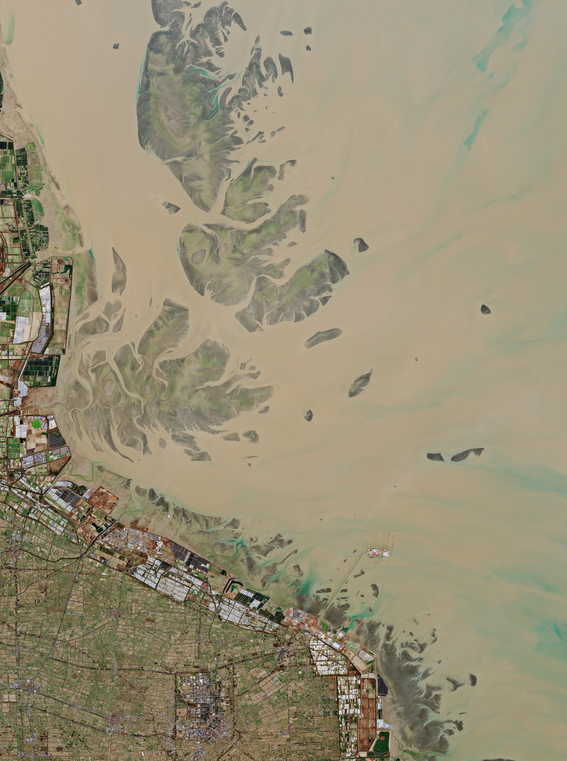 ESA - Immagine della settimana: Costa di Rudong, Cina (01 febbraio 2026)