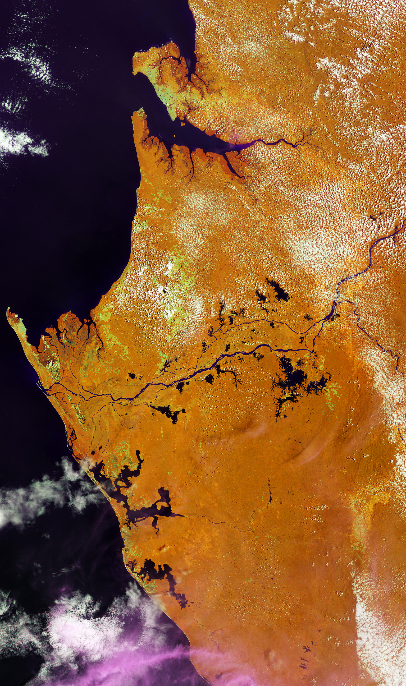 ESA - Immagine della settimana: Terra di foreste pluviali (20 aprile 2026)