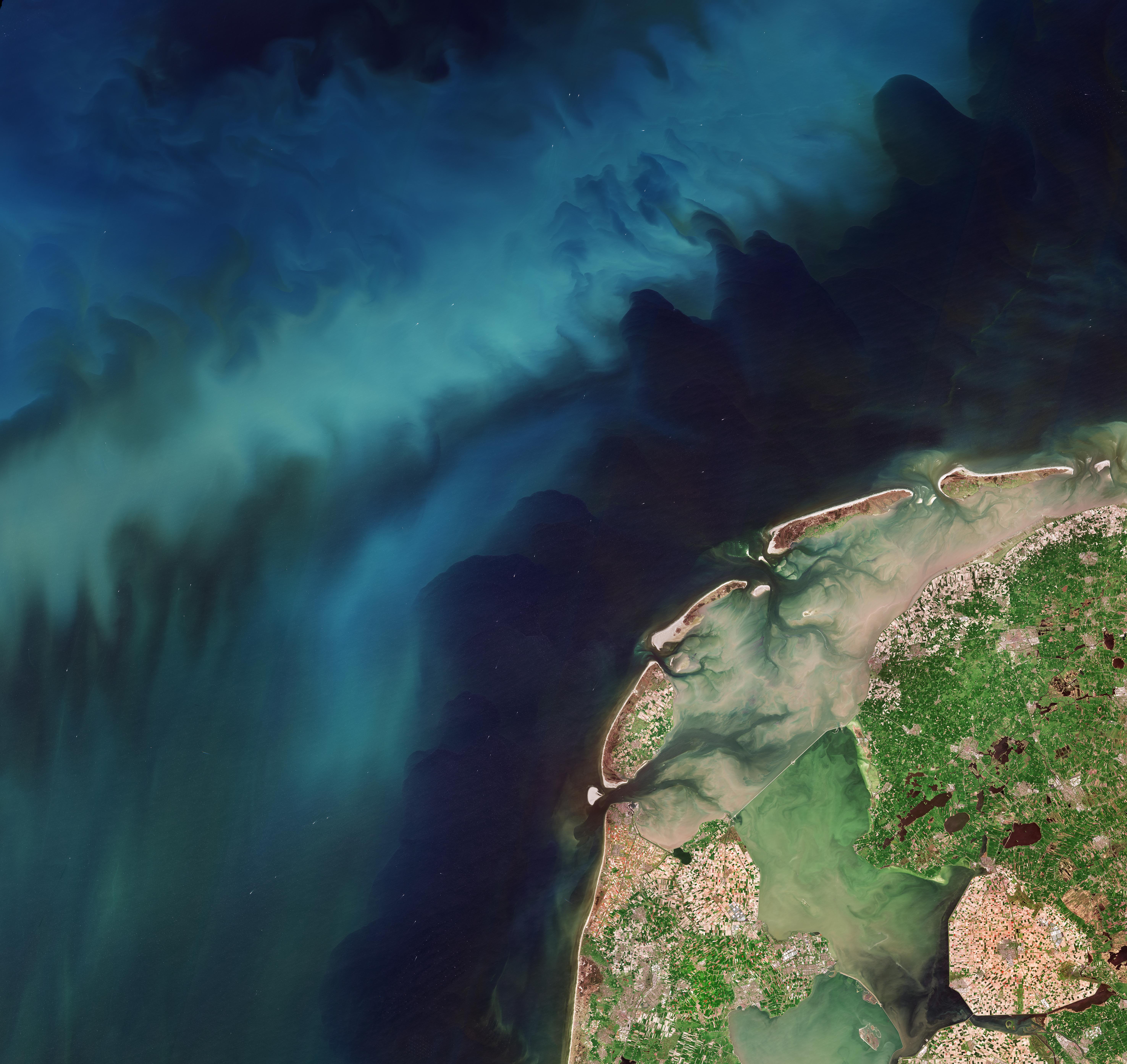 ESA - Immagine della settimana: Fioriture nei Paesi Bassi (03 maggio 2026)
