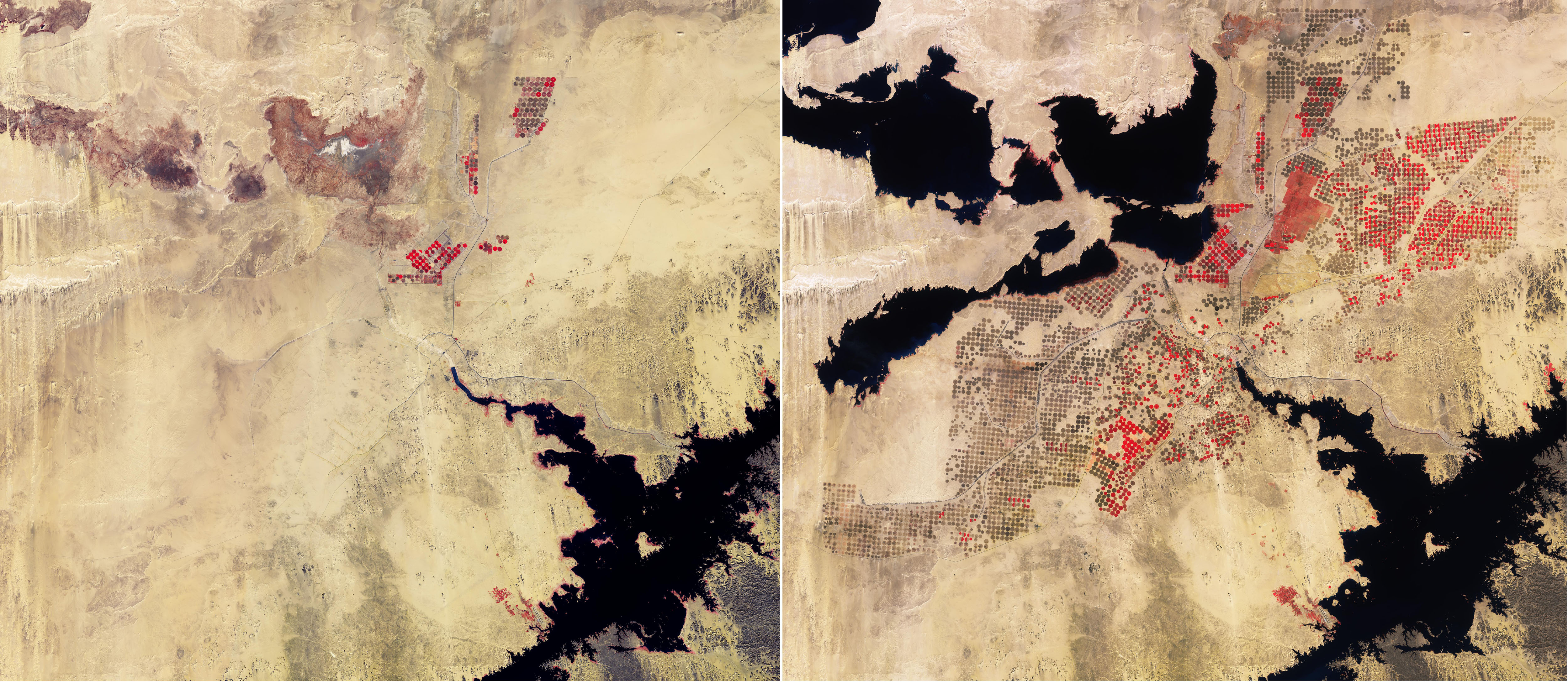 ESA - Immagine della settimana: Coltivazioni nel deserto (29 giugno 2026)