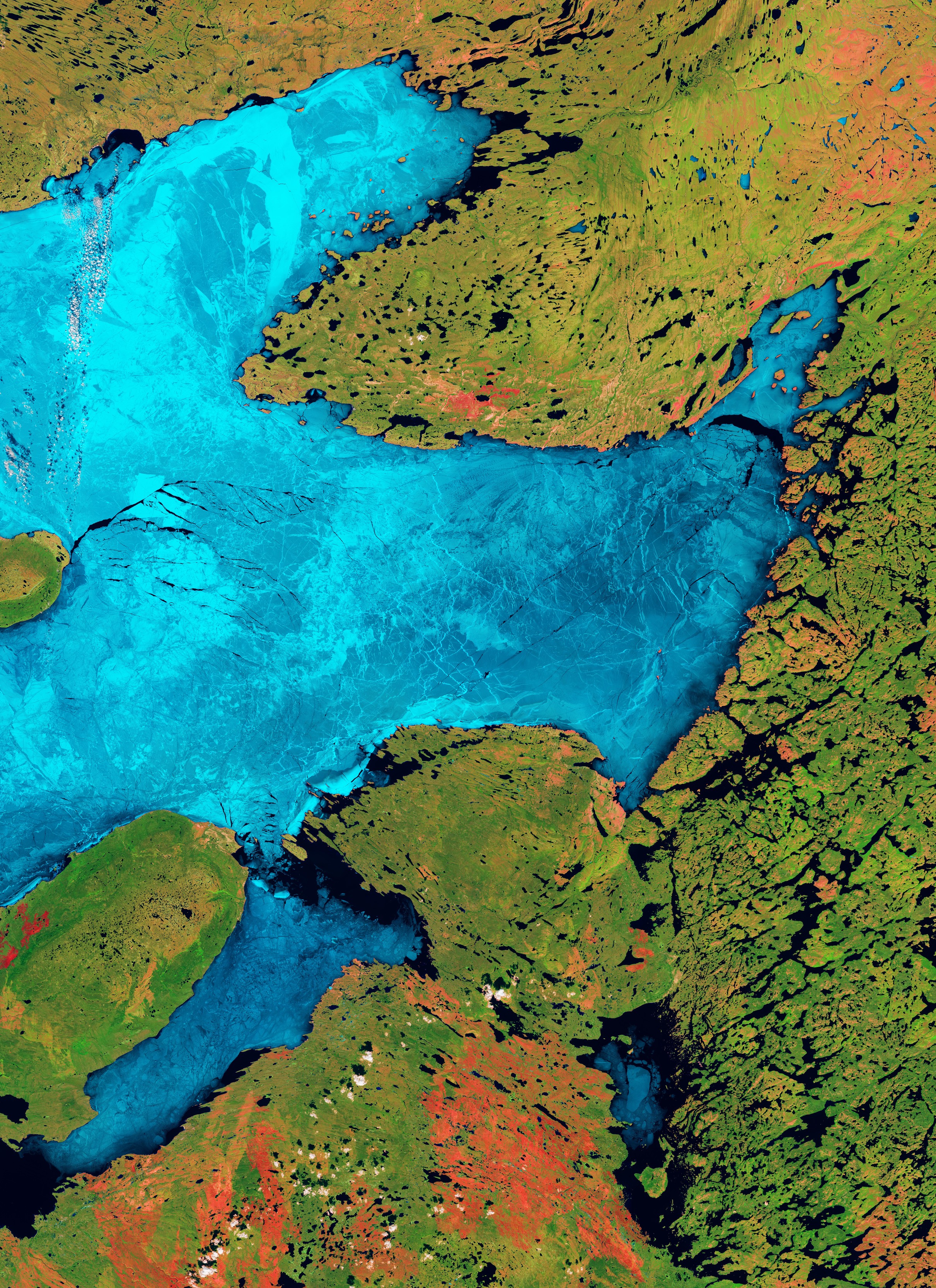 ESA - Immagine della settimana: Lago del Grande Orso, Canada (13 luglio 2026)