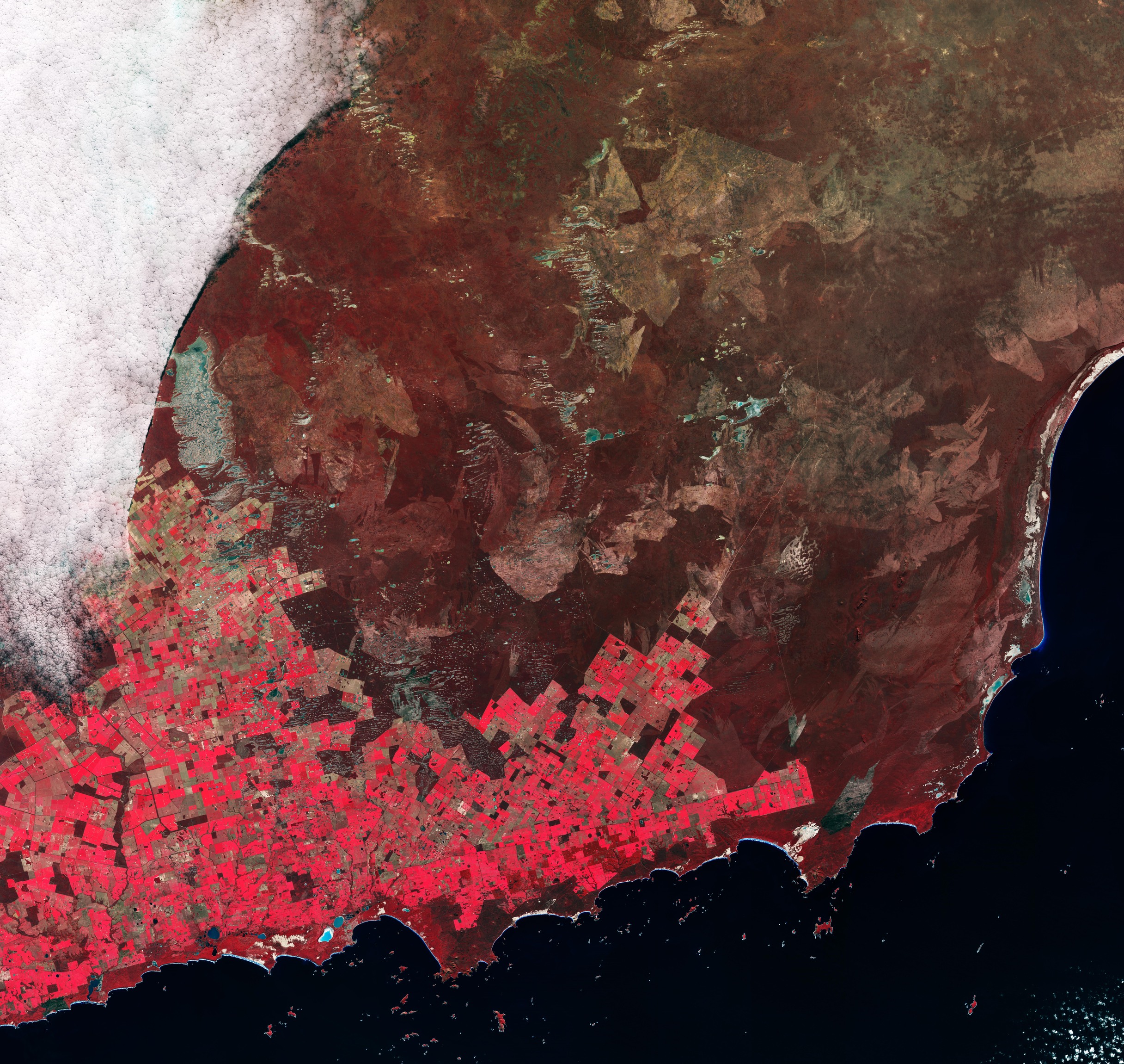 ESA - Immagine della settimana: Mosaico agricolo (27 luglio 2026)