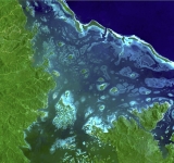 FAO’s SEPAL: Satellite Technology for Smarter Forest Monitoring