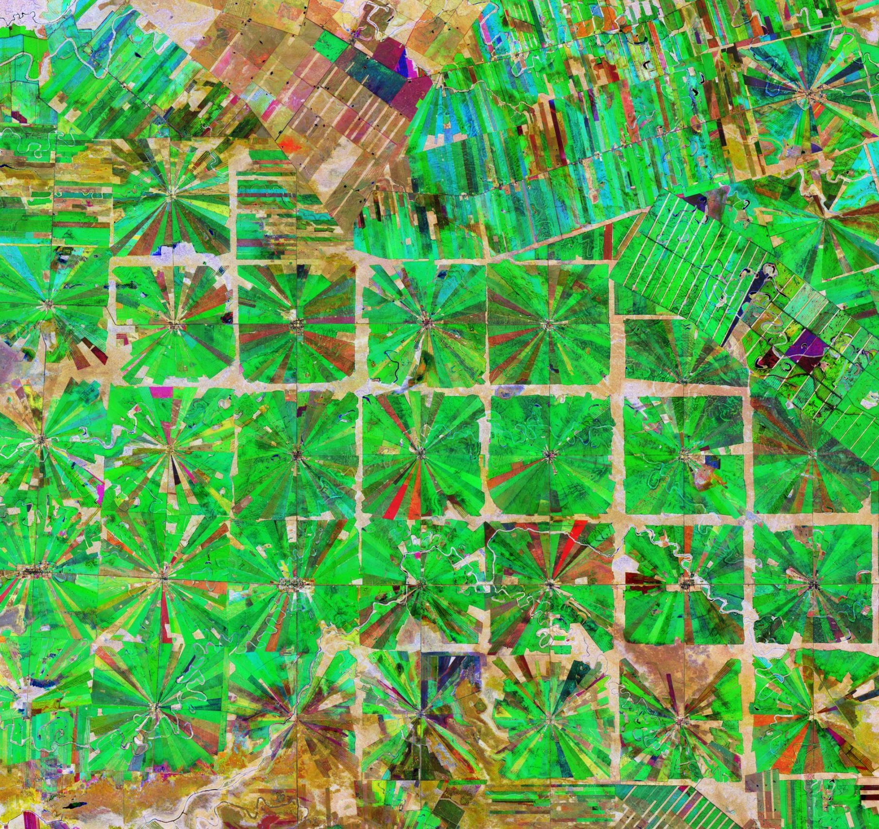 Aree agricole (Dipartimento Santa Cruz, Bolivia)