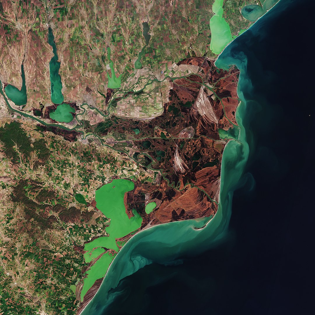 Delta fluviale del Danubio