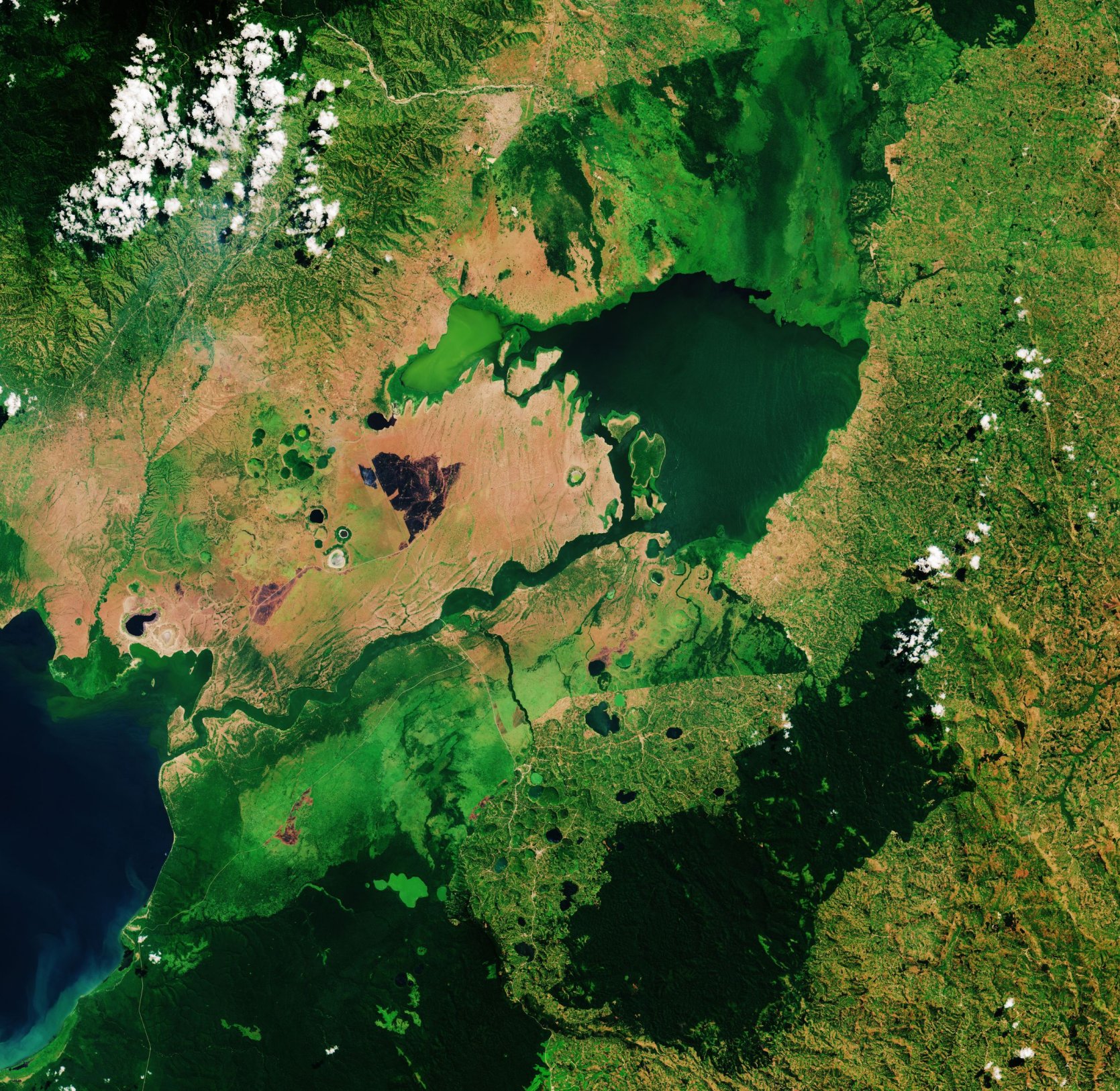 Lago George (Uganda occidentale)
