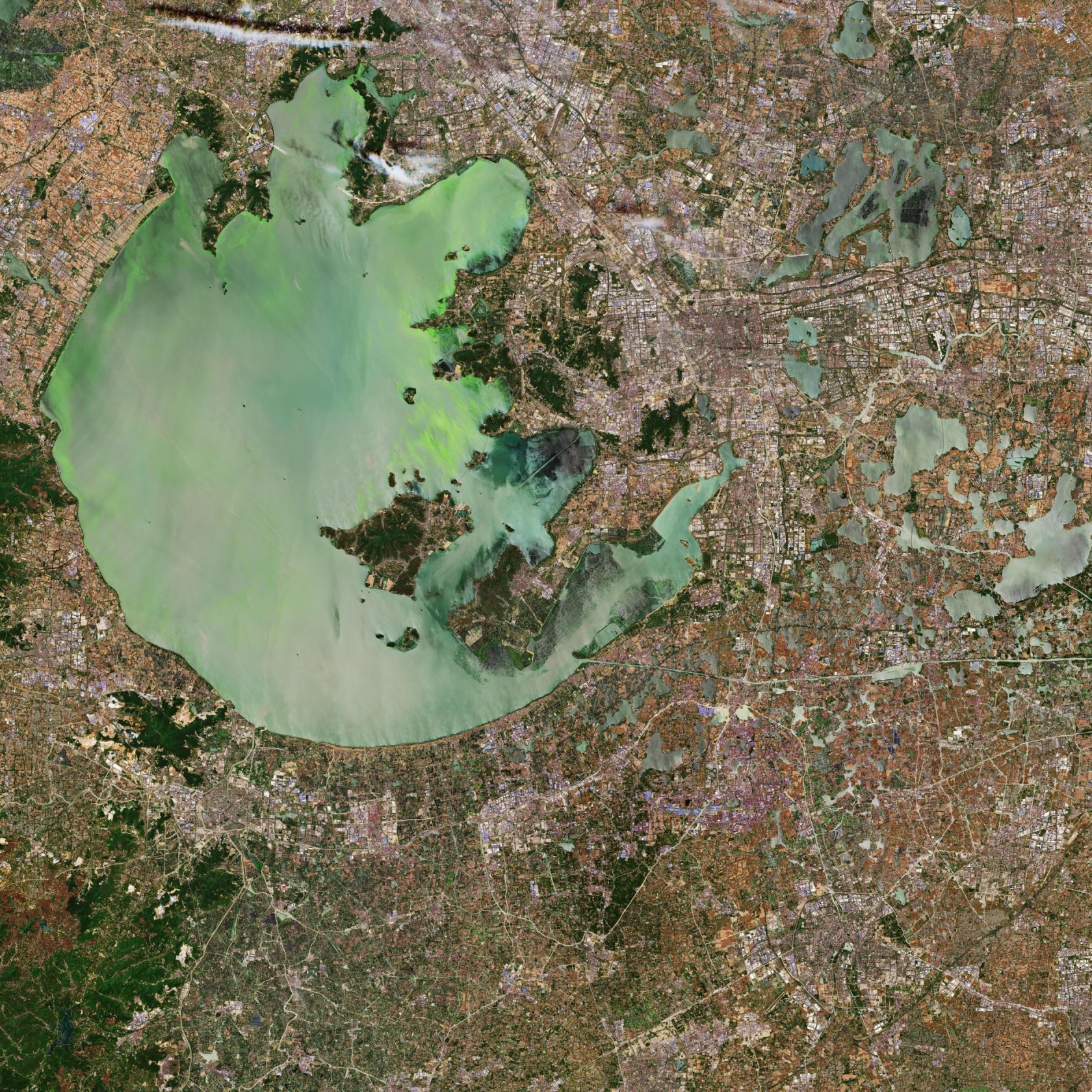 Lago Thai (Cina)