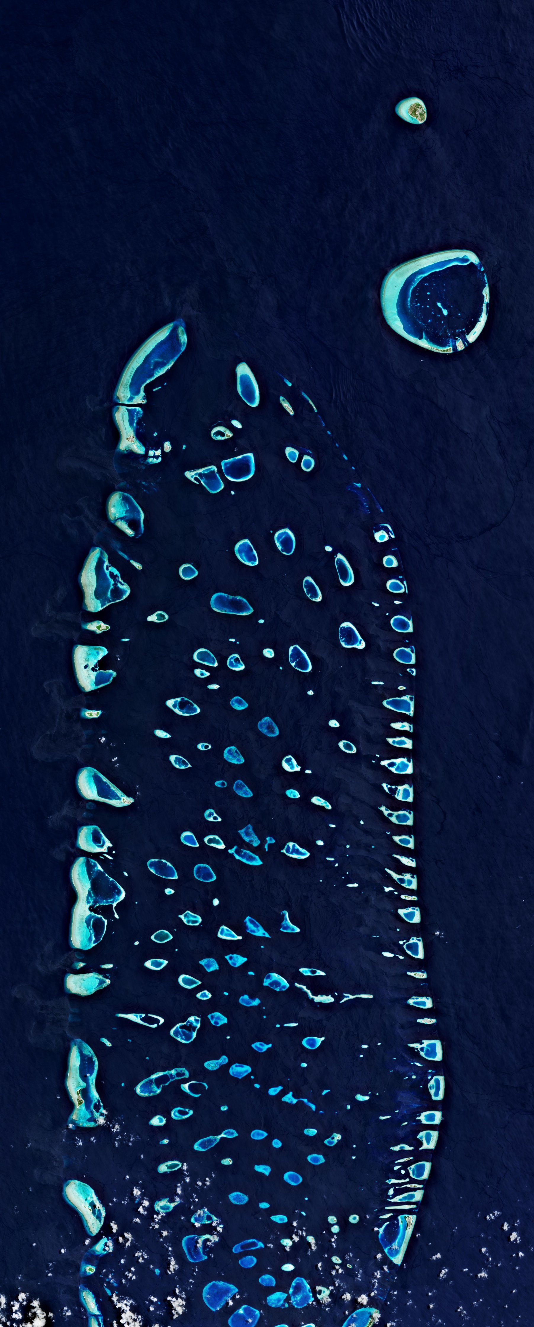 Atollo Ari (isole Maldive)