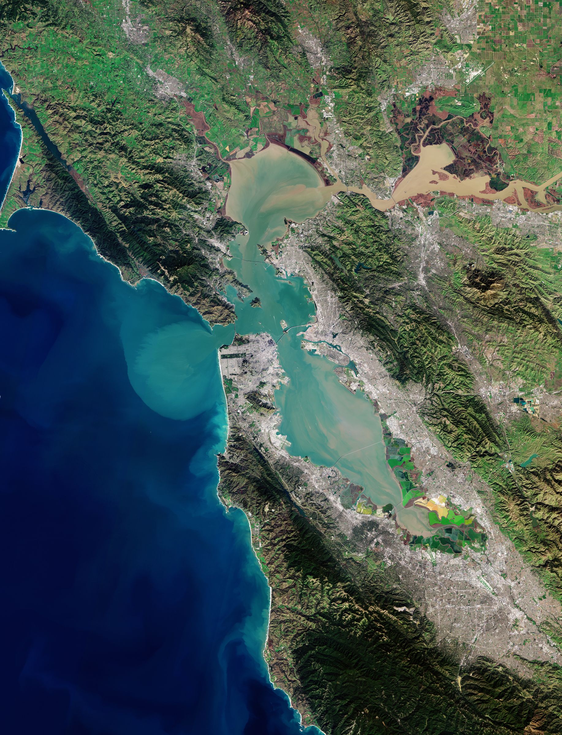 La Baia di San Francisco (USA)