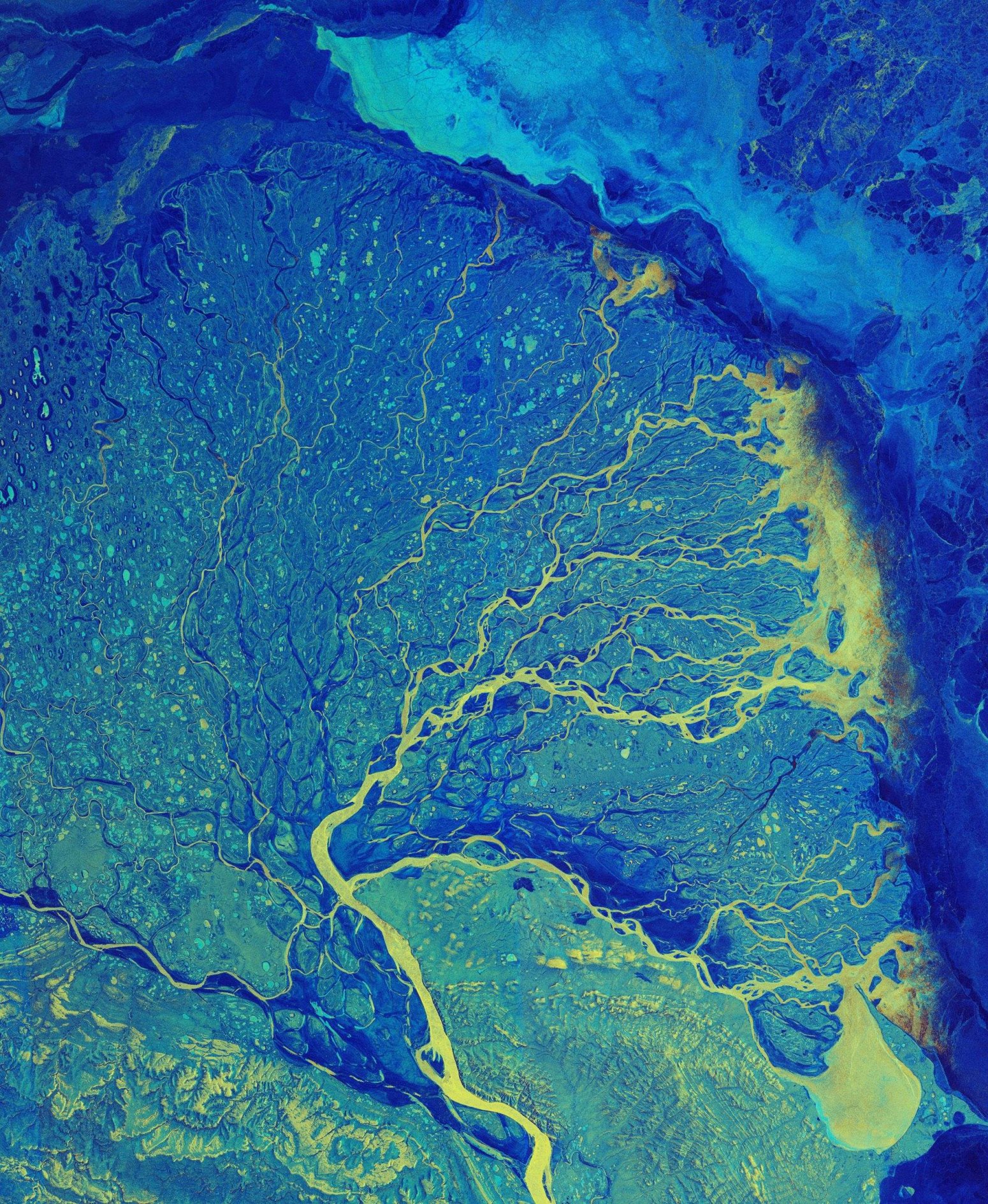 Il delta del fiume Lena (Mar Glaciale Artico)